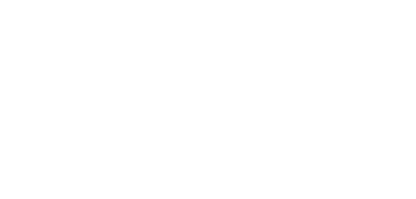 Logo QiDent